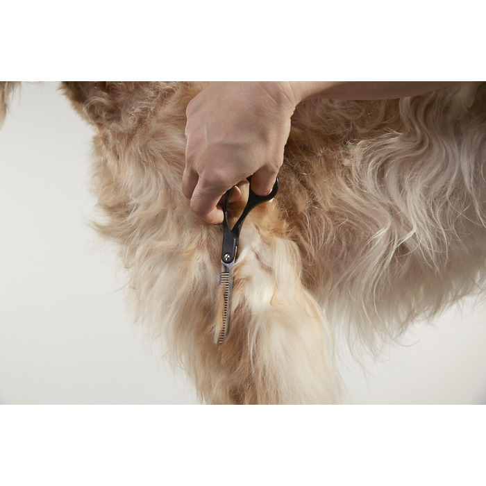Ножиці для витончення шерсті Andis 6.5', професійні для грумінгу собак та котів (80645)