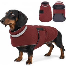 колір: гниль