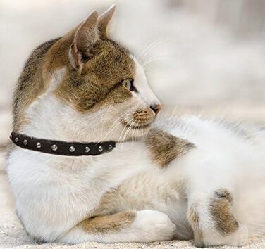 Шкіряний нашийник для котів Angel Pet Supplies з шипами, безпечний, еластичний, білий, 30 см х 1,3 см