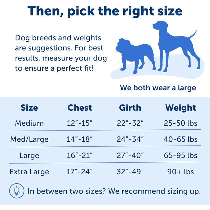 Шлея для собак PetSafe Easy Walk, анти-тяг, регульована