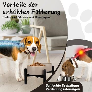 Набір мисок для собак на підставці: 2 миски з кераміки з нержавіючою підставкою, 850 мл, сірий колір. Ідеально для маленьких та середніх собак