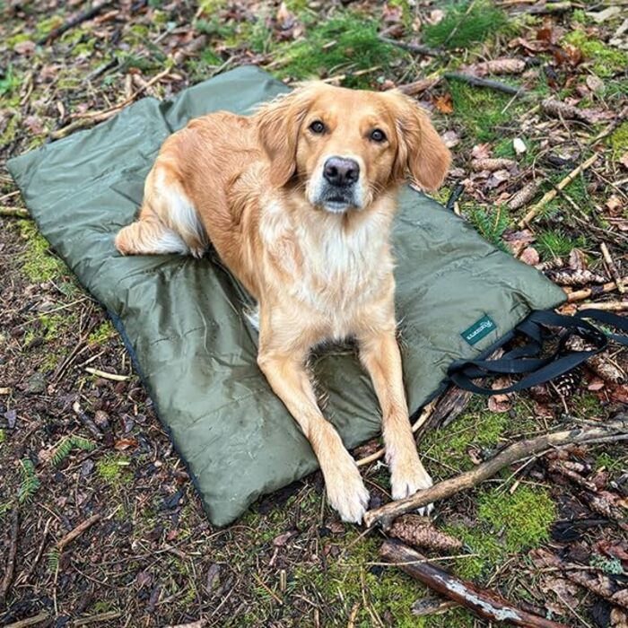Килимок для собак Rommets Explorer - ультралегкий та водовідштовхувальний | Комфорт та практичність у подорожах | Ідеально для походів, кемпінгу та подорожей