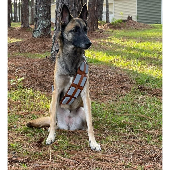 Костюм для собак на Хелловін ComfyCamper, регульований, розміри S, M, XL, Cosplay, Французька лабораторія, Новий Рік 2024