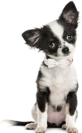 Яскравий різдвяний нашийник для собак Aring Pet, бавовняний нашийник з бантом, милий дизайн, подарунок з металевою застібкою для великих собак (S, білий)