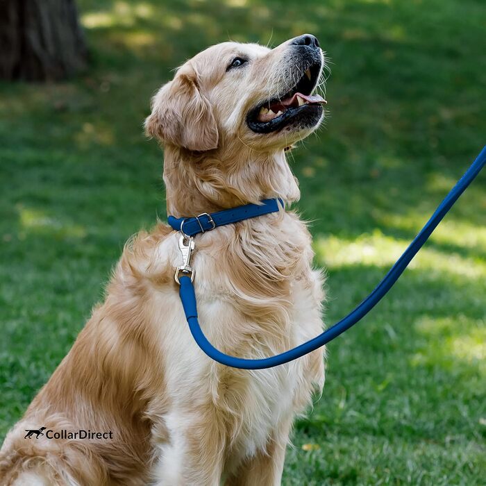 Шкіряний нашийник для собак CollarDirect, круглий, м'який, з рулоном, ручної роботи, справжня шкіра, для цуценят та собак різних розмірів, чорний, червоний, фіолетовий, синій (темно-синій), 18-20 см