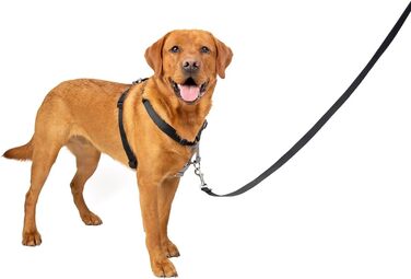 Шлея для собак PetSafe 3-в-1 з ременем безпеки, антизахисний кільце, розмір L, чорна – для авто і прогулянок