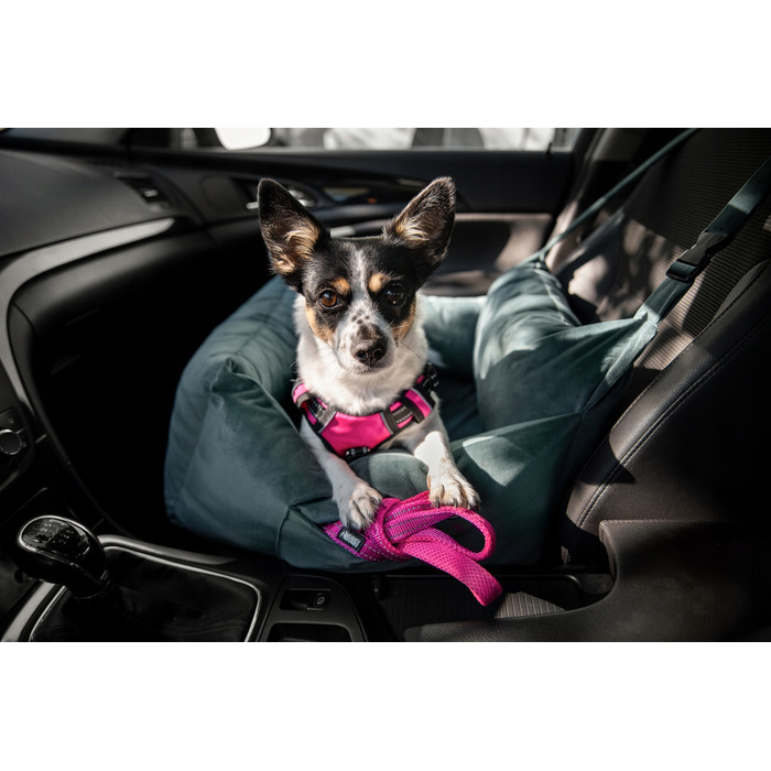 Автомобільний автокрісло-переноска для собак Huggy Doggy L (для бульдогів, такс та середніх порід)