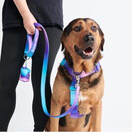 Шлея для великих собак Spark Paws без тяги, з фронтальним кріпленням, міцна, для сильних порід, стиль 90-х, розмір L