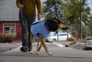 Пуловер для собак RUFFWEAR Hemp Hound, преміум-якість, з органічної бавовни, легкий та теплий, для всіх порід, розмір M (фіолетовий)