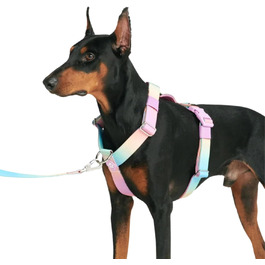 колір: пастельна глазур