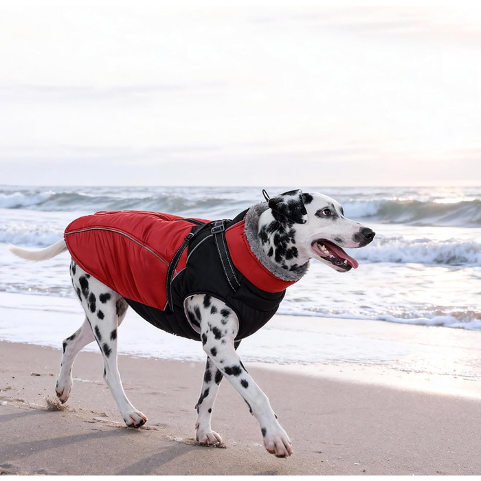 Водонепроникний зимовий одяг для собак великих порід, з кріпленням для повідка, флісова підкладка, світловідбиваючі елементи (XXL), червоний