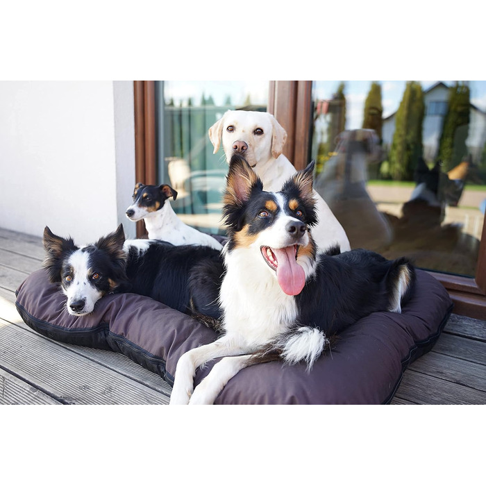 Ліжко для собак 4L Textil KLEO для великих собак, велике, знімний чохол, 130x110 см, коричневе