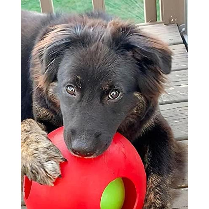 Іграшка для собак Jolly Pets Teaser Ball 20 см, червона