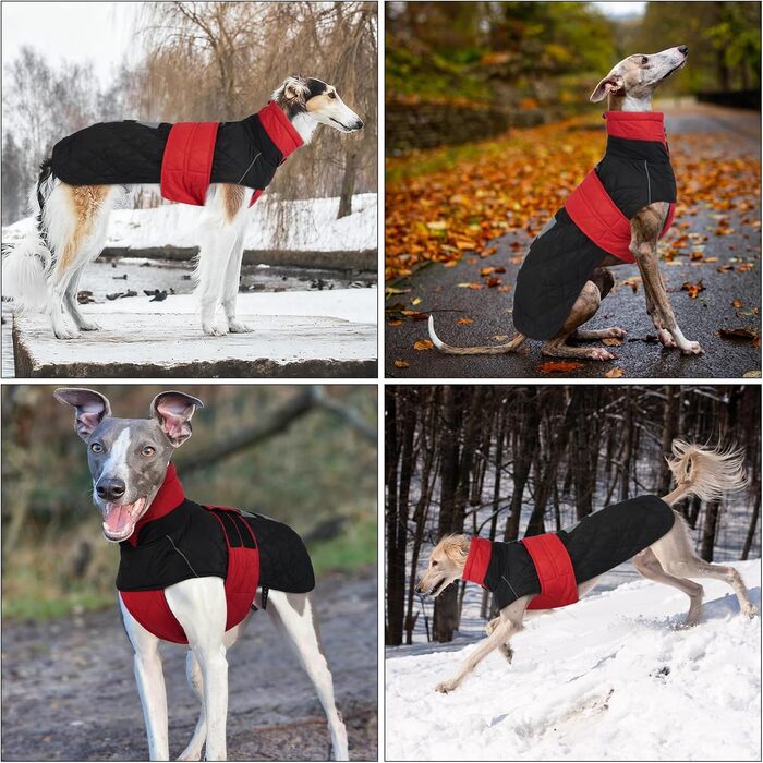 Зимовий теплий дощовик для собак Віндхунд (Whippet) - червоний, з відбиваючими смугами