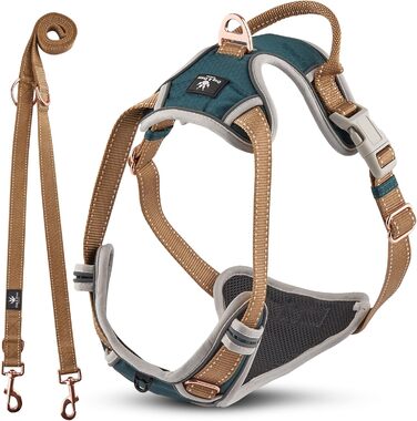 Набір повідка та шлейки для собак – дихаючий, регульований, з м'якою підкладкою та світловідбиваючими елементами – для великих та середніх собак (зелений, S (51-66 см обхват грудей))