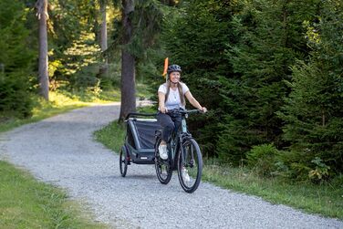 Qeridoo Kidgoo 2 Steel Grey: Причіп для велосипеда 2 дітей з амортизацією та системою ARS | Дитяча коляска-причіп | Складаний дитячий причіп-візок | Qeridoo