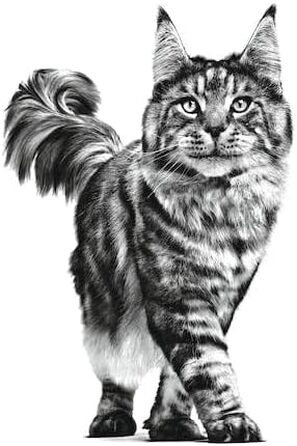 Ветеринарний корм для котів Gastrointestinal з рисом, сухий корм для лікувальної дієти, 2 кг